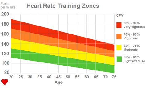 Understanding Your Heart Rate For Fat Burning Fat Burning Zone