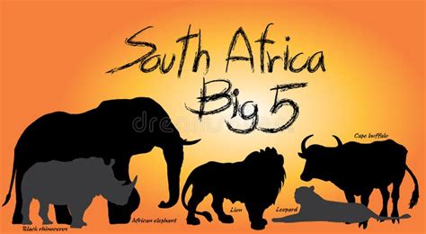 Big Five African Animals Vector Stock Illustrations 135 Big Five