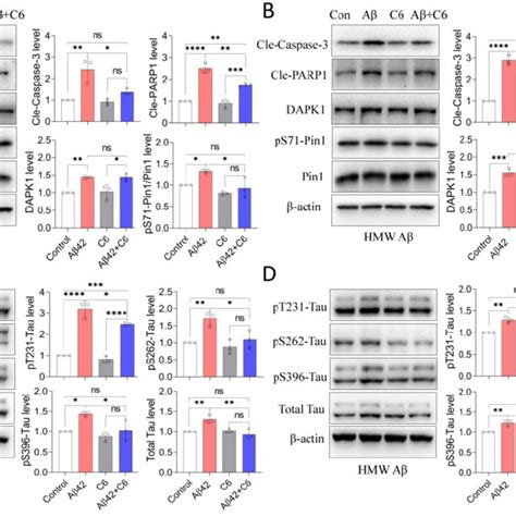 Dapk Inhibition By C Protects Primary Neurons Against A