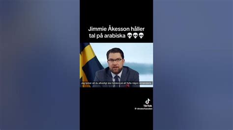 Jimmie Åkesson Work For Swedish Government Youtube