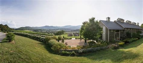 A Panorama Of The Big Ceremony At Pippin Hill Farm And Vineyards In