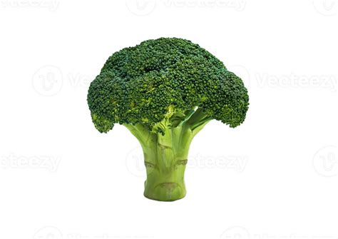 Broccoli Png Transparent Background 29720102 Png