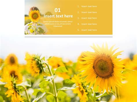 Sunflower Powerpoint Template