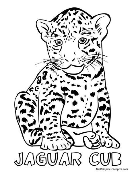 Jaguar coloring pages to download and print for free