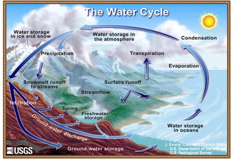 Diagram of the water cycle | NCpedia