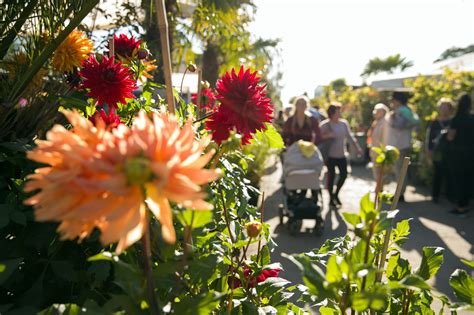 Der Herbst in allen Farben Traditionsfest in den Späth schen