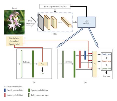 The End To End Training Pipeline Of Deep Learning Plant Identification