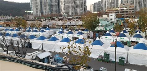 대구 농수축산물유통공사 설립 추진농수축산물 한약재 도매시장 총괄 노컷뉴스