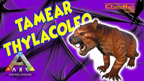 ARK como TAMEAR a un THYLACOLEO gameplay español tutorial YouTube