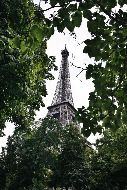 La Torre Eiffel Detr S De Los Rboles Foto Premium