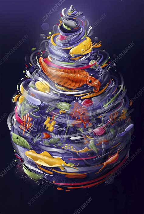 Cambrian explosion, conceptual illustration - Stock Image - C057/8484 ...