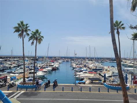 Bar Cafe For Sale In Puerto Colon Frina Tenerife Sl