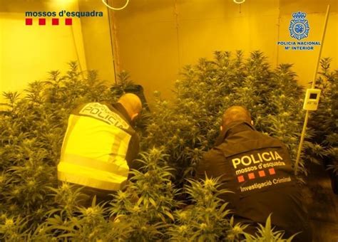 Desarticulada Una Organización Criminal Dedicada Al Tráfico Internacional De Droga Fotos