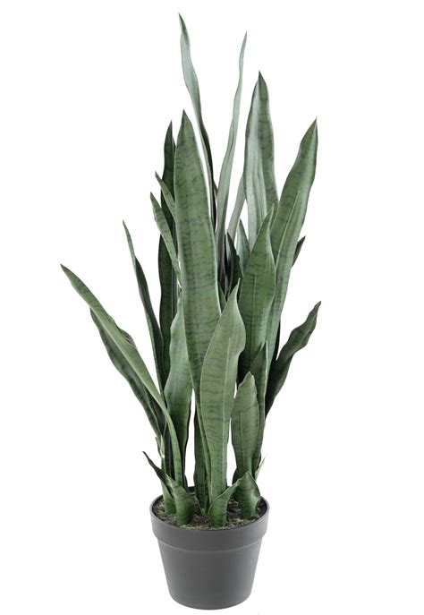 Plante Artificielle Sansevieria