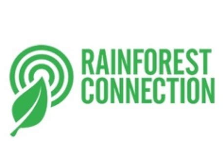 Multiple Roles With Rainforest Connection WILDLABS