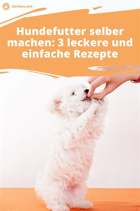 Hundefutter Selber Machen So Einfach Geht S Artofit