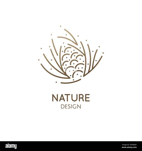 Pine cone logo design Stock Vector Image & Art - Alamy