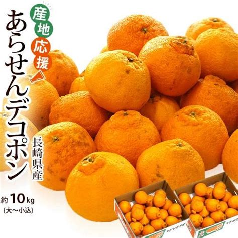 Ja長崎せいひ 訳あり『デコポン』長崎県産 柑橘 大〜小サイズ 約10kg キズ、ヤケ、スレ有り 風袋込 ※常温 送料無料