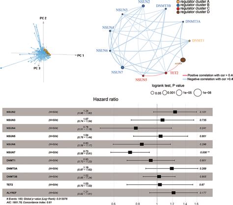 M C Methylation Modification Patterns Mediated By Regulators A