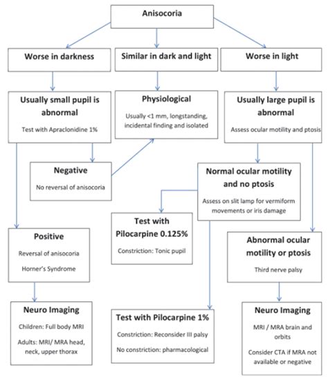 A Practical Guide To Anisocoria Eye News