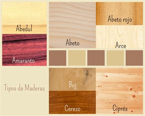 Tipos De Madera Muestras De Las Principales Maderas Comerciales