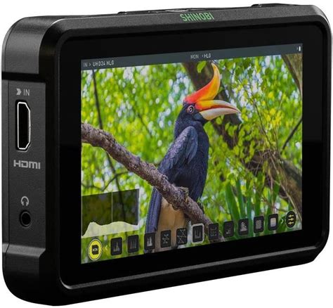 Atomos Shinobi 5 4K HDMI Monitor Amazon Ca Electronics