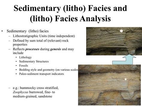 Ppt Depositional Environments And Sedimentary Facies Powerpoint