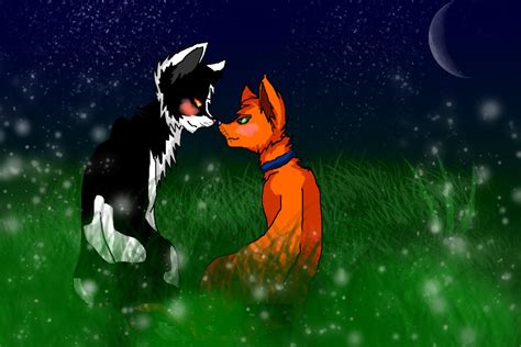 Tallstar X Jake I Will See You Again By Vixenfurr On Deviantart