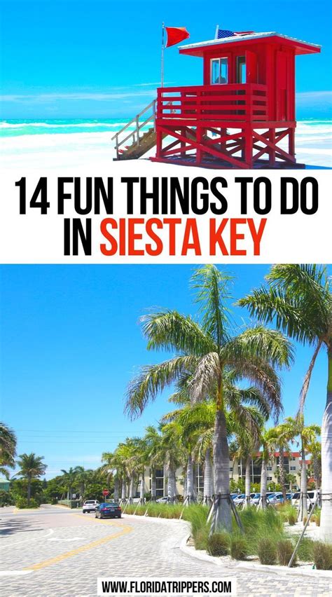 Fun Things To Do In Siesta Key You Can T Miss Artofit