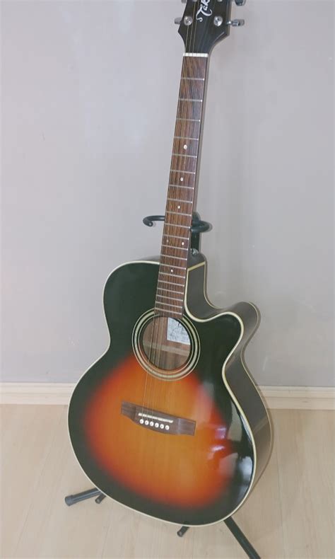 Takamine D Series Acoustic Guitar Sunburst Hobbies Toys Music