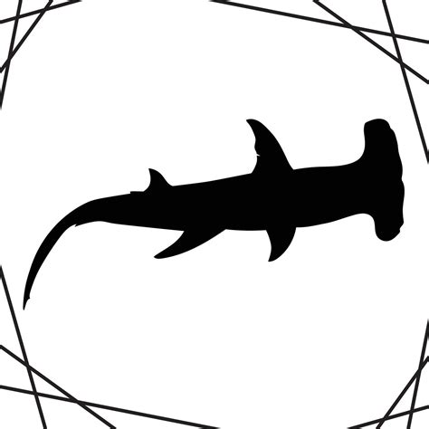 Hammerhead Shark Silhouette illustration, Hammerhead Shark Silhouette ...