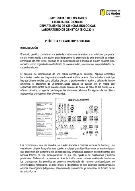 Práctica Cariotipo Humano UNIVERSIDAD DE LOS ANDES FACULTAD DE