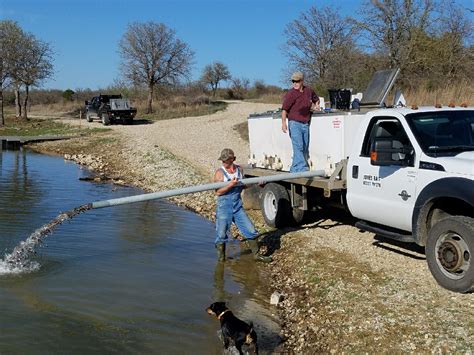 Pond Stocking Services | Jones Wholesale bait, Inc | Quality stock fish | Jones Wholesale Bait