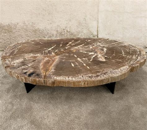 Table basse contemporaine MOOREA ARRELART en bois fossilisé