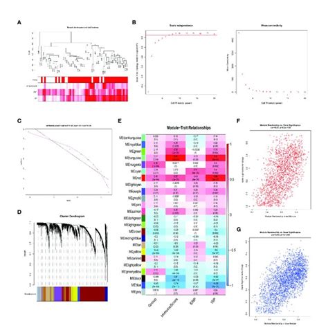 Functional Correlation Analysis Of The IL6 JAK STAT Signaling Pathway