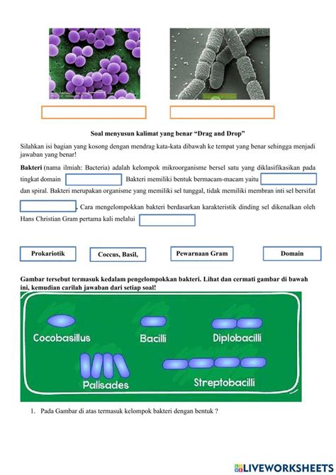 Bacteria Exercise Live Worksheets