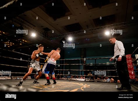 fight night boxing, ringside action Stock Photo - Alamy