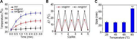 Figure 3 From Development Of Drug Dual Carriers Delivery System With