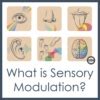 Sensory Modulation - What does it mean? - Your Therapy Source