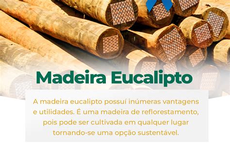 Madeira Eucalipto por que usar Madeireira Silva Palhoça