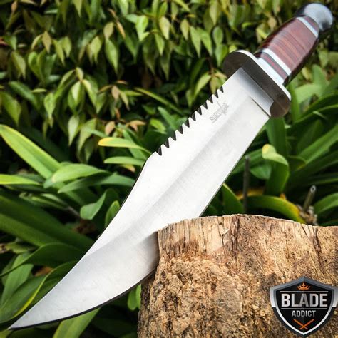 10" Full Tang Fixed Blade Hunting Knife Wood | BLADE ADDICT