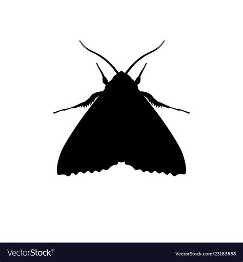 Silhouette Of Codling Moth Royalty Free Vector Image