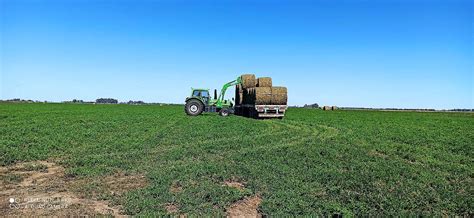 Rollos Y Megafardos De Alfalfa Agroads