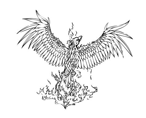 Phoenix Rising From The Ashes Drawing At Getdrawings Free Download