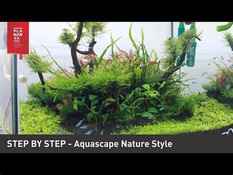 how to make aquascape - Aquatic videos