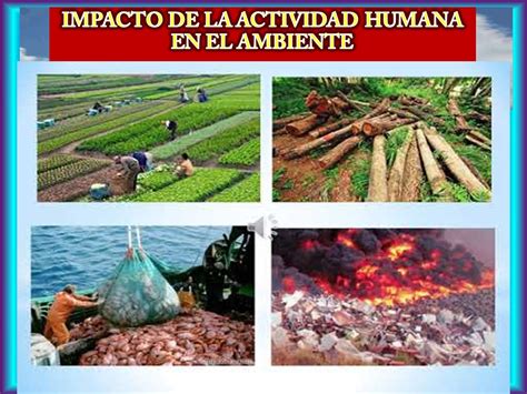 Impacto De Actividad Humana En El Ambiente Quizizz