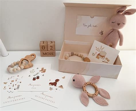 Grande Box De Naissance Petit Poney Et Cie