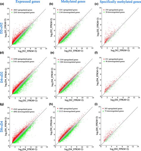 Global Profiling Of N6‐methyladenosine Methylation In Maize Callus