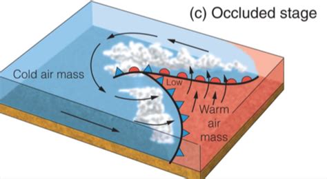 Stages of Mid-latitude cyclone Flashcards | Quizlet
