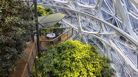 Photos from inside the Amazon Spheres in Seattle